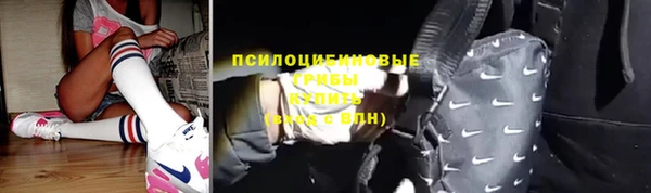прущие грибы Шали