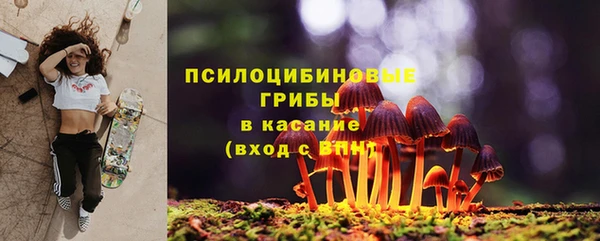 трава Арсеньев
