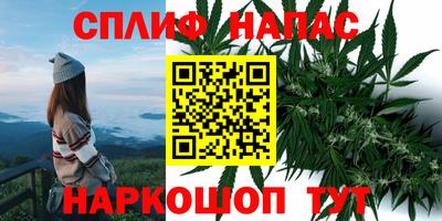 прущие грибы Наро-Фоминск