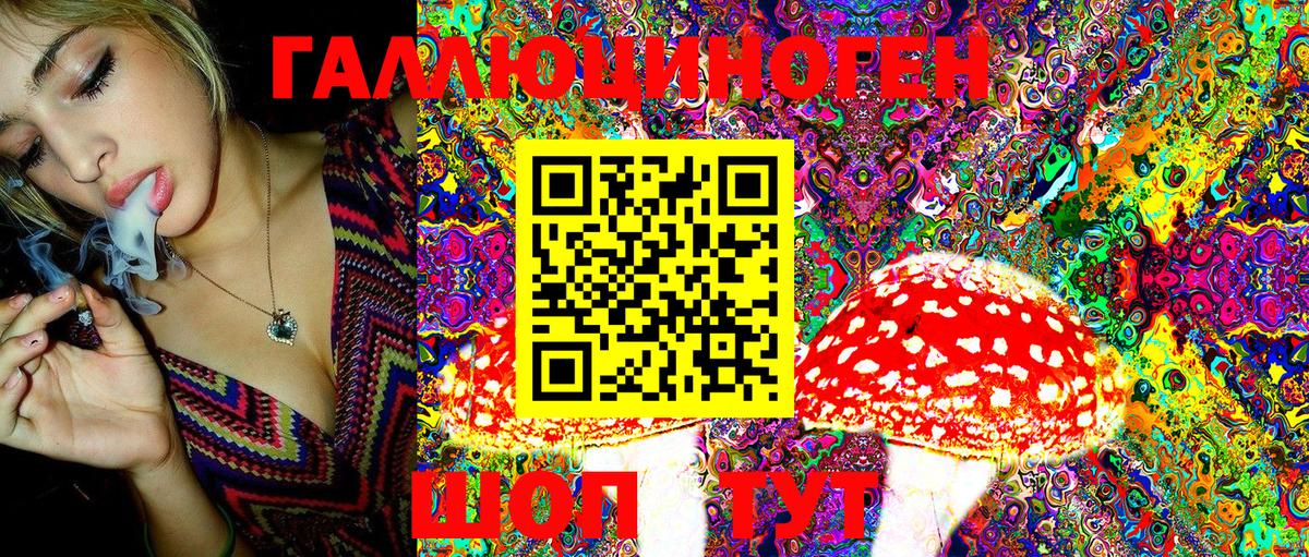 Псилоцибиновые грибы MAGIC MUSHROOMS  Вход с VPN  Чебоксары 